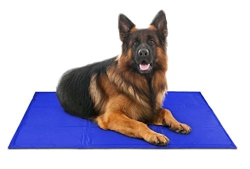 Do Dog Cooling Beds Work Do Dog Cooling Beds Work