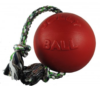 strong dog ball