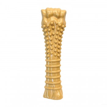 Nylabone durable dog chew toy