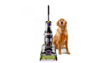 extend dog supplement reviews extend dog supplement reviews
