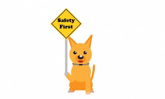 Are Electric Fences Safe?