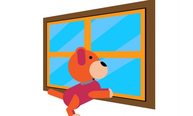 Dog Separation Anxiety: Basics And How To Overcome It