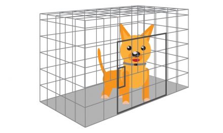 Dog Crate Training