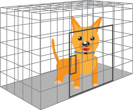 crates for dogs
