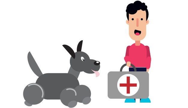 For New And Seasoned Owners, A Dog Health Problem Can Be Alarming