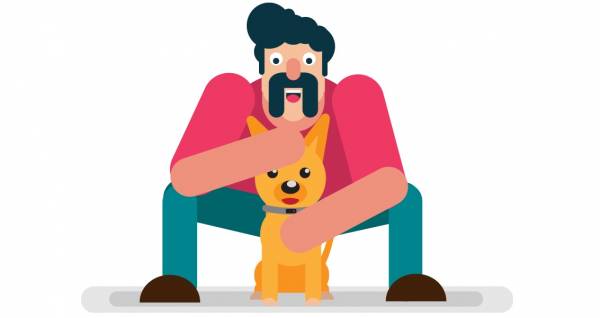 How To Raise The Perfect Dog
