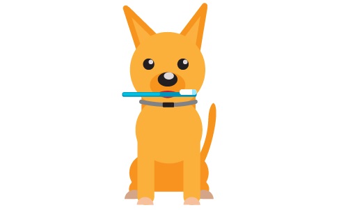 Ways to keep your Dog’s teeth clean