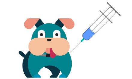 Stop Blowing Scheduled Dog Vaccinations with These 6 Tips