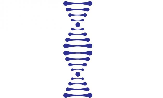 What can be found by using a Dog DNA Test?