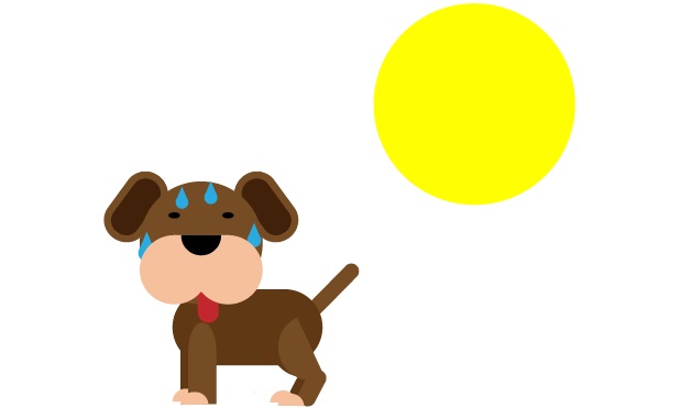 How to Keep Your Dog Cool in the Summer