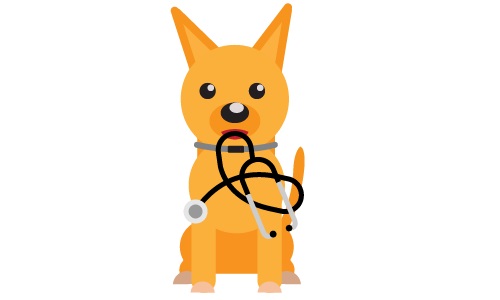 8 Signs You Need Dog Insurance