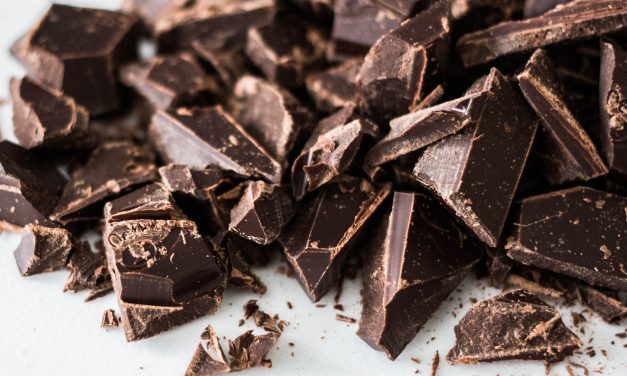 A Dog’s Limit for Chocolate