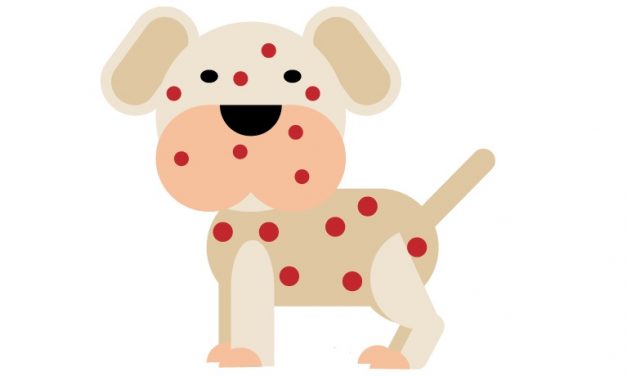 Signs of Dog Allergies