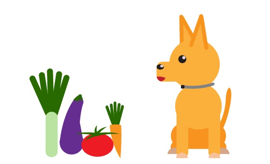 Do Dogs Need Vegetables?