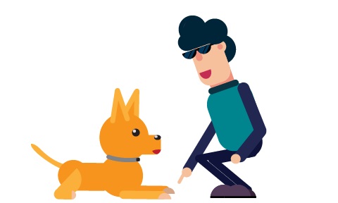 5 Commands You Need to Teach your Dog