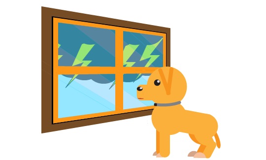 How to Calm Down Your Dog During a Thunderstorm