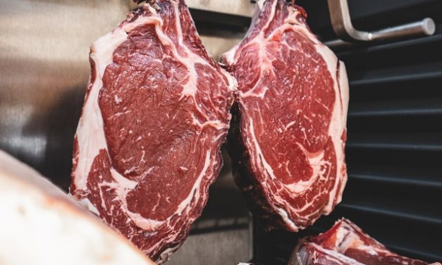 A Raw Meat Diet for Dogs: What You Should Know