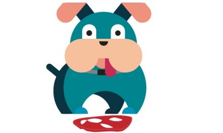 A Raw Meat Diet for Dogs: What You Should Know