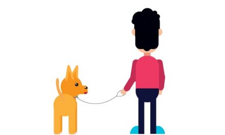 Training Your Dog for a Loose Leash Walk