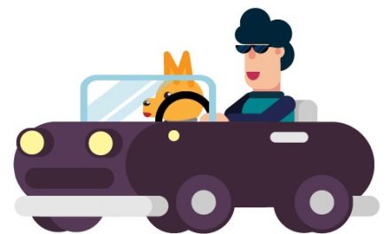 Tips on How to Travel with a Dog