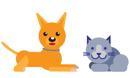 Making Peace Between Dogs And Cats