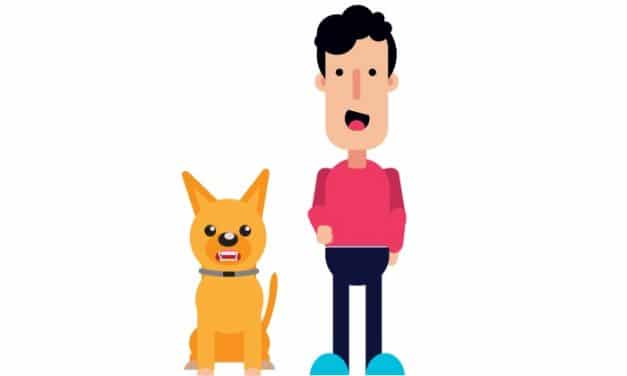 Does Your Dog Need Obedience Training?