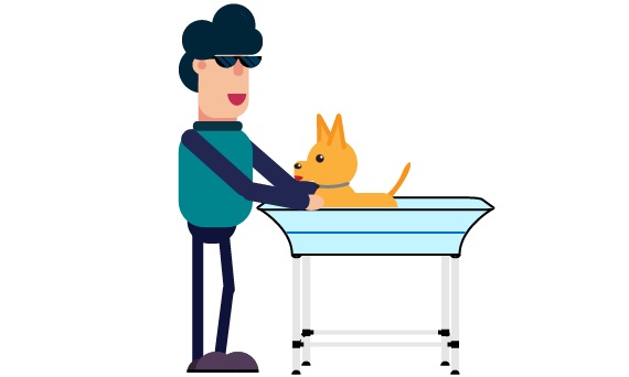 Winter Grooming Tips for Dogs