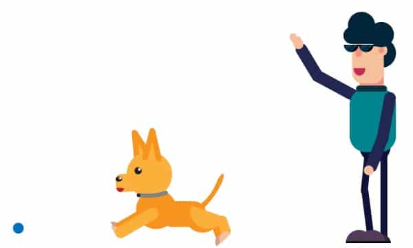 How to Exercise Your Dog