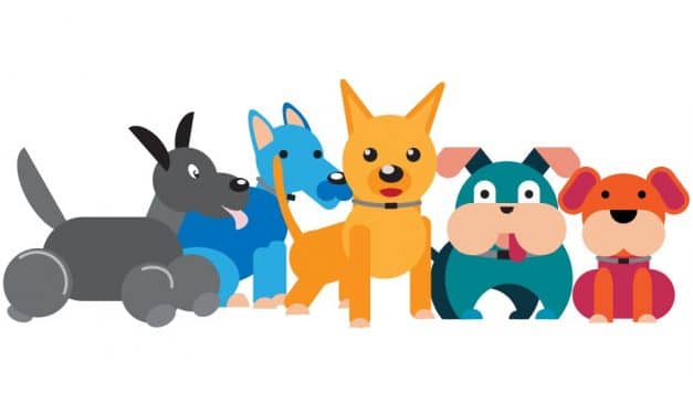 How Selective Breeding in German Shepherds Leads to Health Problems