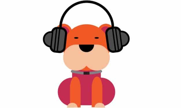 How to Calm Down a Dog