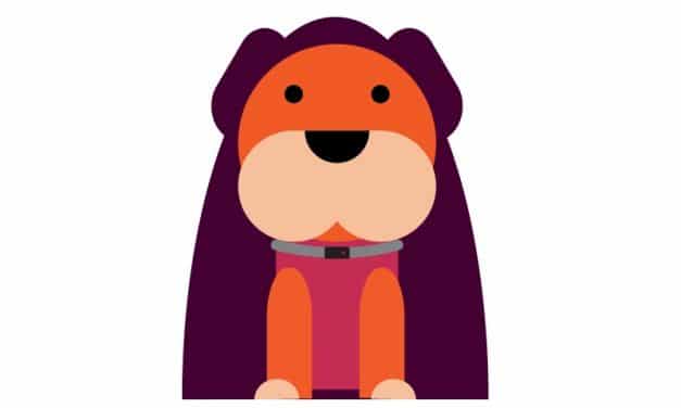 How Do I Know If My Dog is Cold at Night