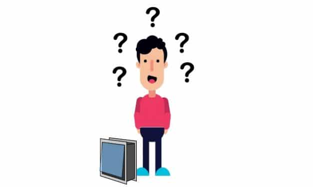 Are Dog Doors a Good Idea?