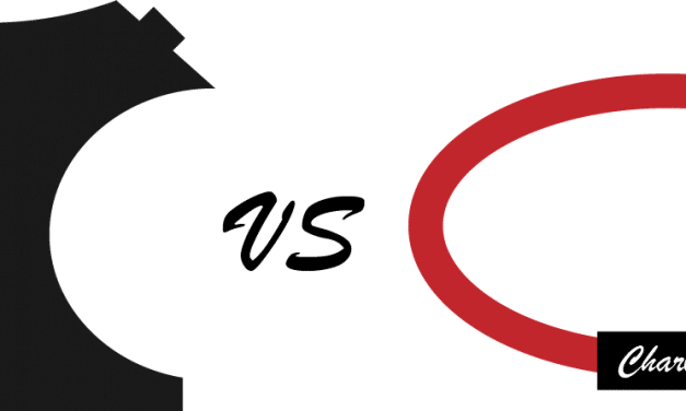 Collar or Harness: What Should You Choose?