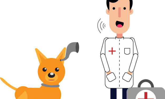 Hearing Loss in Dogs – Causes, Symptoms, and Treatment