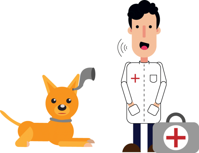 Hearing Loss in Dogs Causes, Symptoms, and Treatment The Hunting Dog