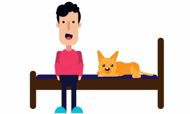 Should You Let Your Dog Sleep in Bed with You?