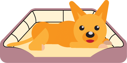 Best Calming Bed for Dogs