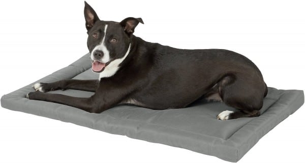 dog crate pads for heavy chewers