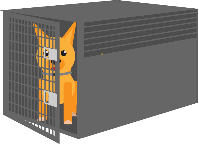 dog crate
