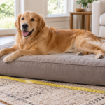 How to Choose the Right Bed Size for a Large Dog